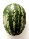 Watermelons Watermelons