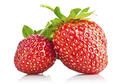 fragole