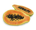 papaya