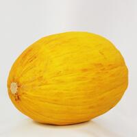 melone giallo