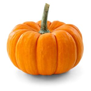 shutterstock_115122196 shutterstock_115122196
